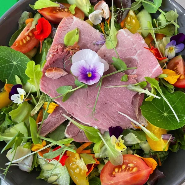 Medium Ham Salad Bowl