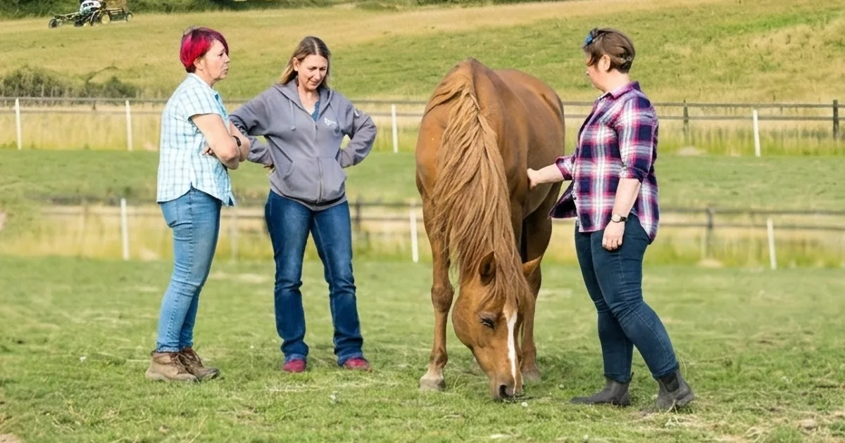 Why Strong Teams Start With Individuals – Heidi Dawson